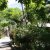 campingyuste (47)